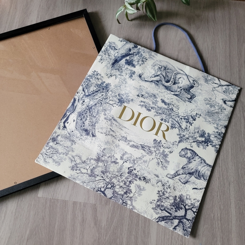 SALE🎉 Framed - Limited Edition Authentic Dior Shopping Bag - Framed - Picture 3 of 10